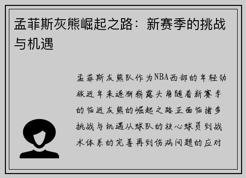 孟菲斯灰熊崛起之路：新赛季的挑战与机遇