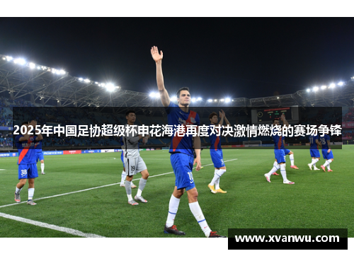 2025年中国足协超级杯申花海港再度对决激情燃烧的赛场争锋