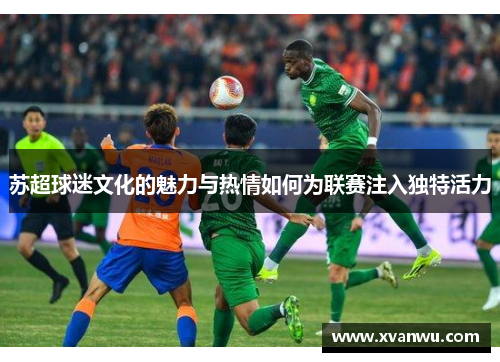 苏超球迷文化的魅力与热情如何为联赛注入独特活力